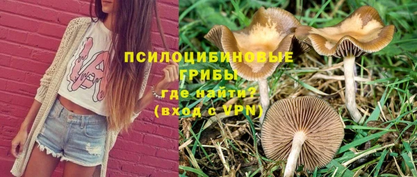 СК Зеленокумск