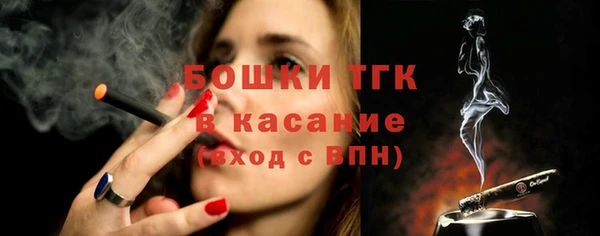 СК Зеленокумск