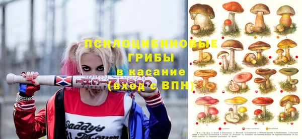 амф Зеленодольск