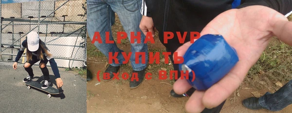 СК Зеленокумск
