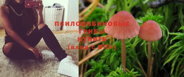 СК Зеленокумск