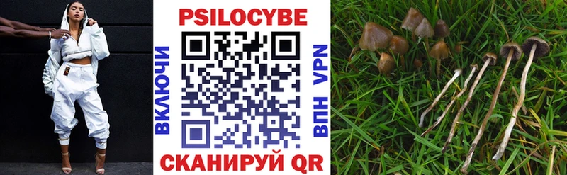 купить закладку  Лосино-Петровский  Галлюциногенные грибы MAGIC MUSHROOMS 