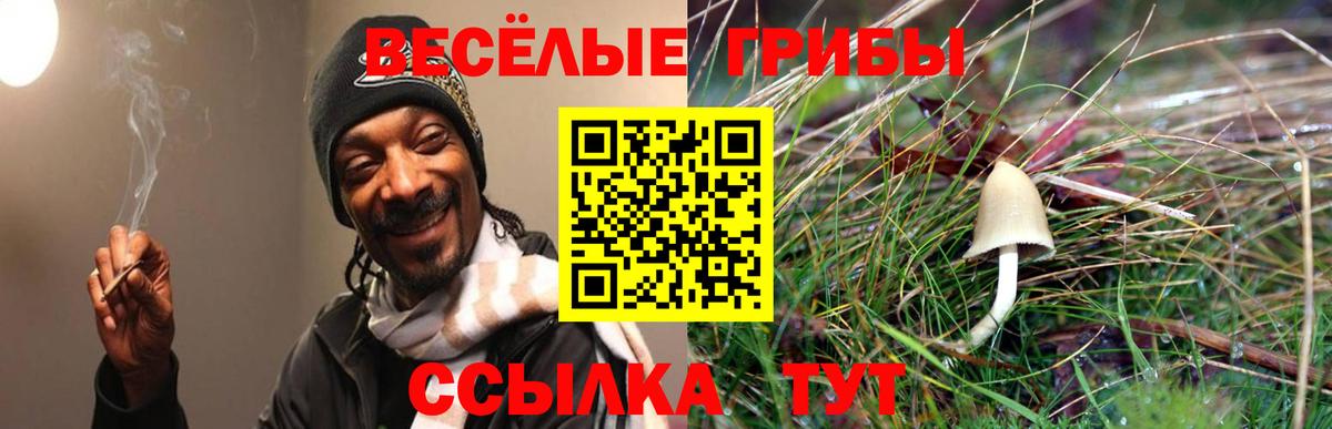 Лосино-Петровский  Псилоцибиновые грибы Psilocybine cubensis  Псилоцибиновые грибы ЛСД  Вход с VPN 
